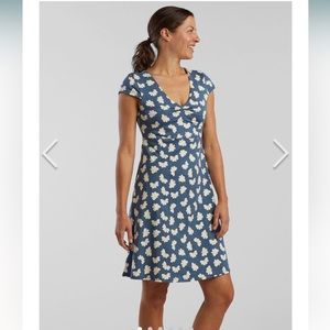 Toad and company dress